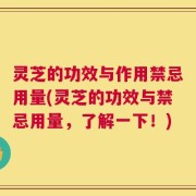 灵芝的功效与作用禁忌用量(灵芝的功效与禁忌用量，了解一下！)