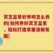 灵芝盆景好养吗怎么养的(如何养好灵芝盆景，轻松打造家居清新氛围)