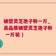破壁灵芝孢子粉一斤_高品质破壁灵芝孢子粉 一斤装 )