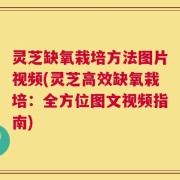 灵芝缺氧栽培方法图片视频(灵芝高效缺氧栽培：全方位图文视频指南)