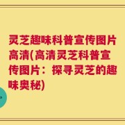 灵芝趣味科普宣传图片高清(高清灵芝科普宣传图片：探寻灵芝的趣味奥秘)