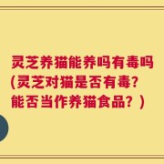 灵芝养猫能养吗有毒吗(灵芝对猫是否有毒？能否当作养猫食品？)