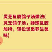 灵芝鱼胶鸽子汤做法(灵芝鸽子汤，酥嫩鱼胶加持，轻松煲出养生美味)