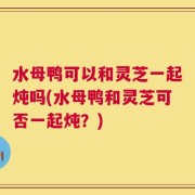 水母鸭可以和灵芝一起炖吗(水母鸭和灵芝可否一起炖？)