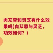 肉苁蓉和灵芝有什么效果吗(肉苁蓉与灵芝，功效如何？)