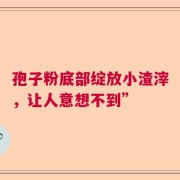 孢子粉底部绽放小渣滓，让人意想不到”