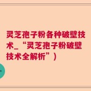 灵芝孢子粉各种破壁技术_“灵芝孢子粉破壁技术全解析”)