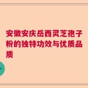 安徽安庆岳西灵芝孢子粉的独特功效与优质品质