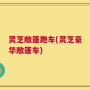 灵芝敞篷跑车(灵芝豪华敞篷车)