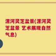 漯河灵芝盆景(漯河灵芝盆景 艺术展现自然气息)