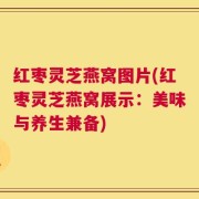 红枣灵芝燕窝图片(红枣灵芝燕窝展示：美味与养生兼备)