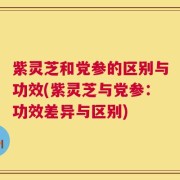 紫灵芝和党参的区别与功效(紫灵芝与党参：功效差异与区别)
