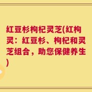 红豆杉枸杞灵芝(红枸灵：红豆杉、枸杞和灵芝组合，助您保健养生)