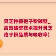 灵芝种植孢子粉破壁_高效破壁技术提升灵芝孢子粉品质与吸收率)