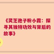 《灵芝孢子粉小霞：探寻其独特功效与背后的故事》
