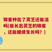 锦蜜种出了灵芝还能活吗(能长出灵芝的锦蜜，还能继续生长吗？)