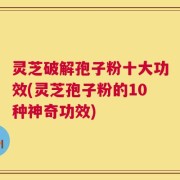 灵芝破解孢子粉十大功效(灵芝孢子粉的10种神奇功效)