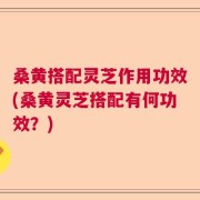桑黄搭配灵芝作用功效(桑黄灵芝搭配有何功效？)
