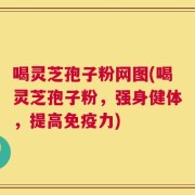 喝灵芝孢子粉网图(喝灵芝孢子粉，强身健体，提高免疫力)