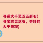 寻道大千灵芝五彩石(寻宝珍灵芝石，奇妙的大千奇观)