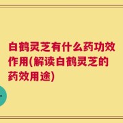 白鹤灵芝有什么药功效作用(解读白鹤灵芝的药效用途)