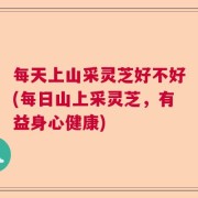 每天上山采灵芝好不好(每日山上采灵芝，有益身心健康)
