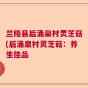 兰陵县后涌泉村灵芝菇(后涌泉村灵芝菇：养生佳品