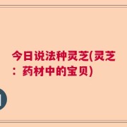 今日说法种灵芝(灵芝：药材中的宝贝)