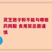灵芝孢子粉不能与哪些药同服 食用禁忌需谨慎