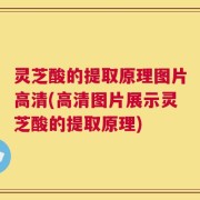 灵芝酸的提取原理图片高清(高清图片展示灵芝酸的提取原理)