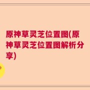 原神草灵芝位置图(原神草灵芝位置图解析分享)