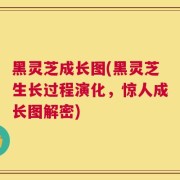黑灵芝成长图(黑灵芝生长过程演化，惊人成长图解密)