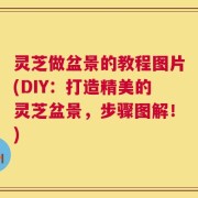 灵芝做盆景的教程图片(DIY：打造精美的灵芝盆景，步骤图解！)