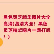 黑色灵芝精华图片大全高清(高清大全!黑色灵芝精华图片一网打尽!)