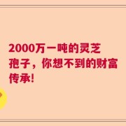 2000万一吨的灵芝孢子，你想不到的财富传承!