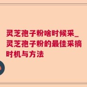 灵芝孢子粉啥时候采_灵芝孢子粉的最佳采摘时机与方法