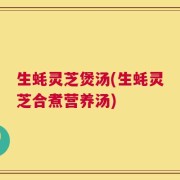 生蚝灵芝煲汤(生蚝灵芝合煮营养汤)