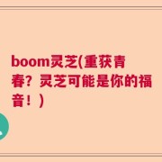 boom灵芝(重获青春？灵芝可能是你的福音！)