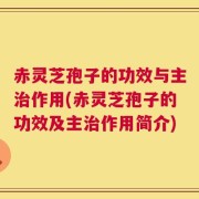 赤灵芝孢子的功效与主治作用(赤灵芝孢子的功效及主治作用简介)