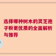 选择哪种树木的灵芝孢子粉更优质的全面解析与推荐