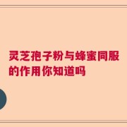 灵芝孢子粉与蜂蜜同服的作用你知道吗