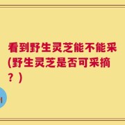 看到野生灵芝能不能采(野生灵芝是否可采摘？)