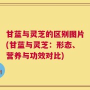 甘蓝与灵芝的区别图片(甘蓝与灵芝：形态、营养与功效对比)