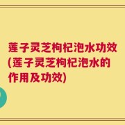 莲子灵芝枸杞泡水功效(莲子灵芝枸杞泡水的作用及功效)