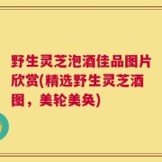 野生灵芝泡酒佳品图片欣赏(精选野生灵芝酒图，美轮美奂)