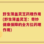 野生薄盖灵芝药理作用(野生薄盖灵芝：奇妙健康保障的全方位药理作用)