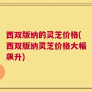 西双版纳的灵芝价格(西双版纳灵芝价格大幅飙升)