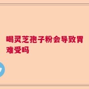 喝灵芝孢子粉会导致胃难受吗