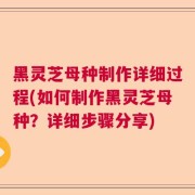 黑灵芝母种制作详细过程(如何制作黑灵芝母种？详细步骤分享)