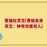 曹操吃灵芝(曹操食用灵芝：神奇效果惊人)